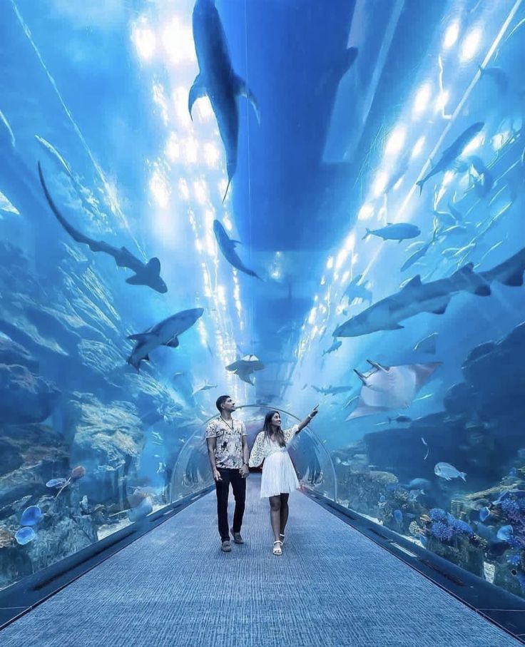 Half-Day Dubai City Tour landmarks